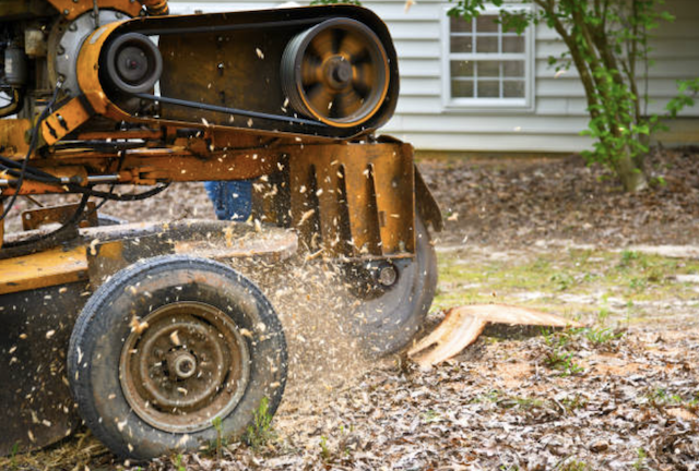 stump removal in wyoming